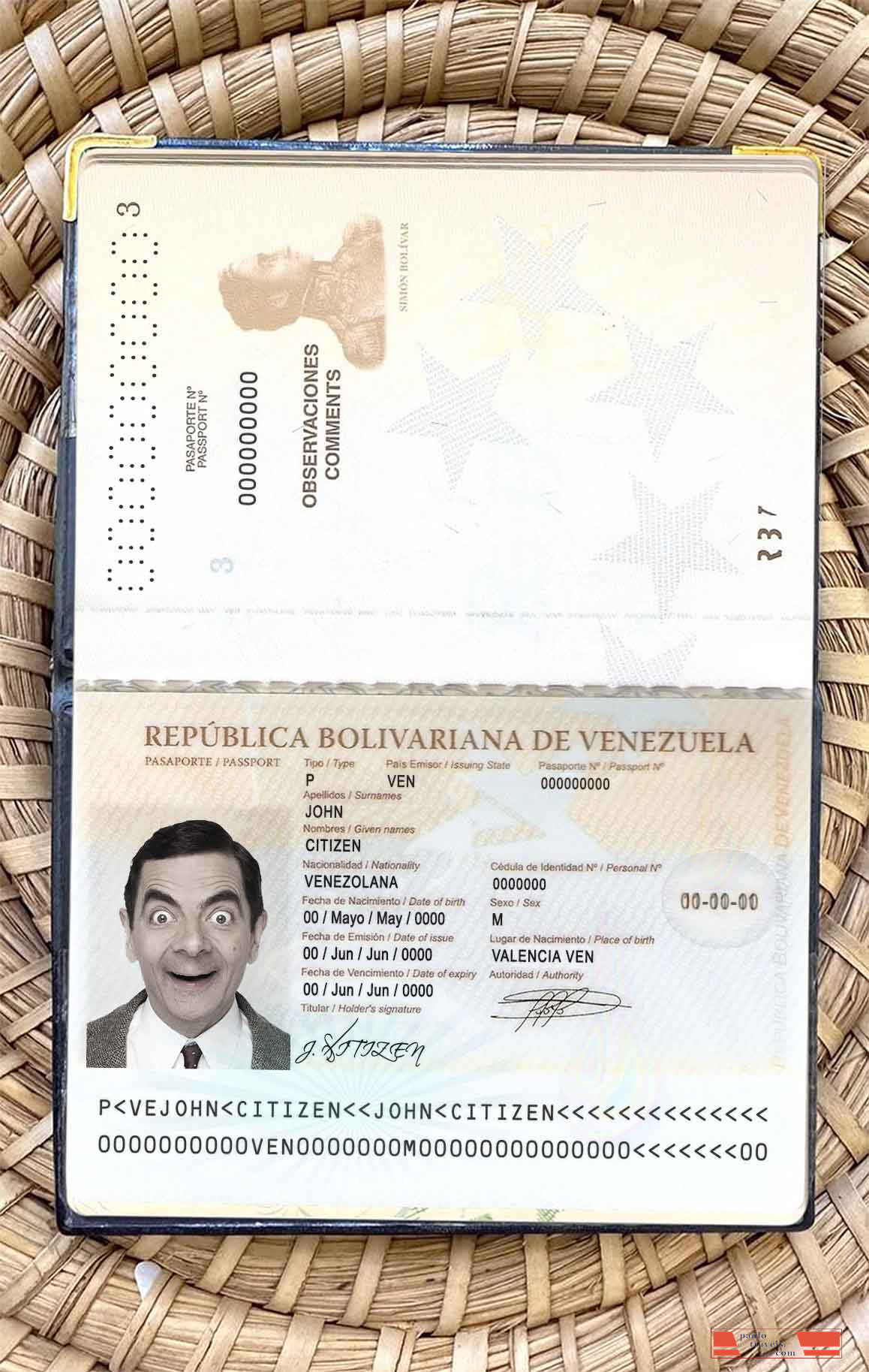 Venezuela passport photo look PSD template